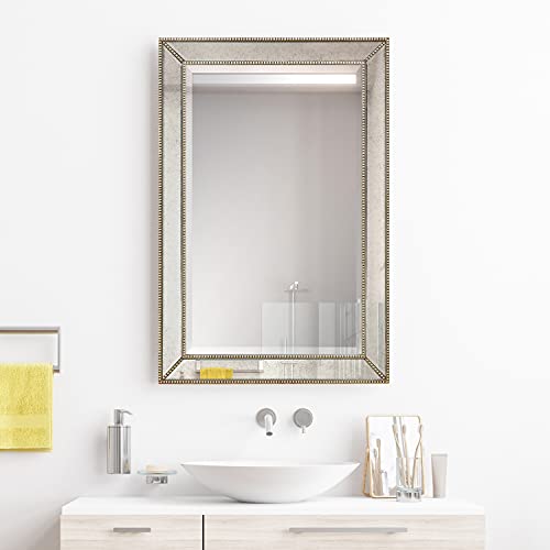 Antique Wall Mirror for Bathroom, Bedroom, Living Room, Ready to Hang, 24" x 54" D519