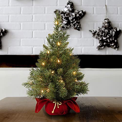 24 in Pre-Lit Mini Artificial Christmas Tree with 35 Clear Lights R420697