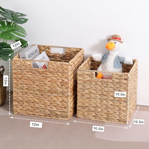 Water Hyacinth Storage Baskets for Cube Storage, Set of 3 F86967