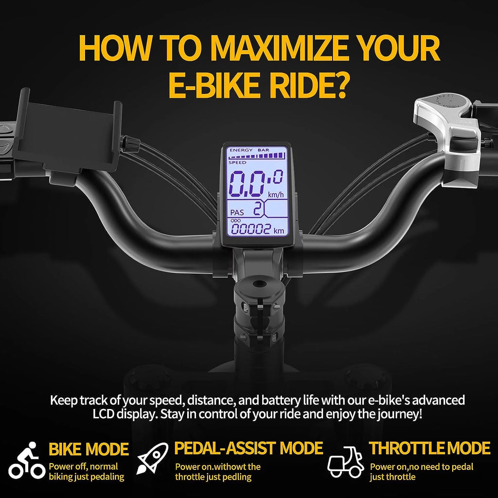 20" Fat Tire Electric Bike 1000W with Removable Battery J494