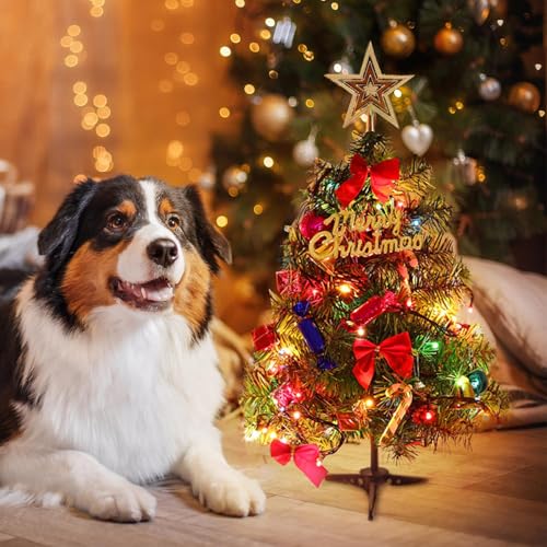 20 Inch Christmas Tabletop Tree with LED Lights and Star Topper B4313
