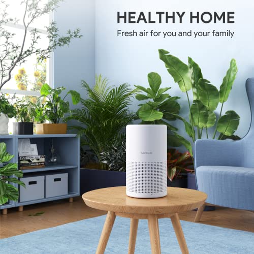 H13 True HEPA Air Purifier for Bedroom, Quiet with Night Light V933
