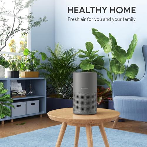 H13 True HEPA Air Purifier for Bedroom, Quiet with Night Light V933