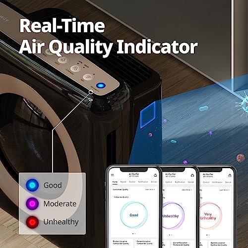 True HEPA Air Purifier with Air Quality Monitoring and Auto Mode R22121