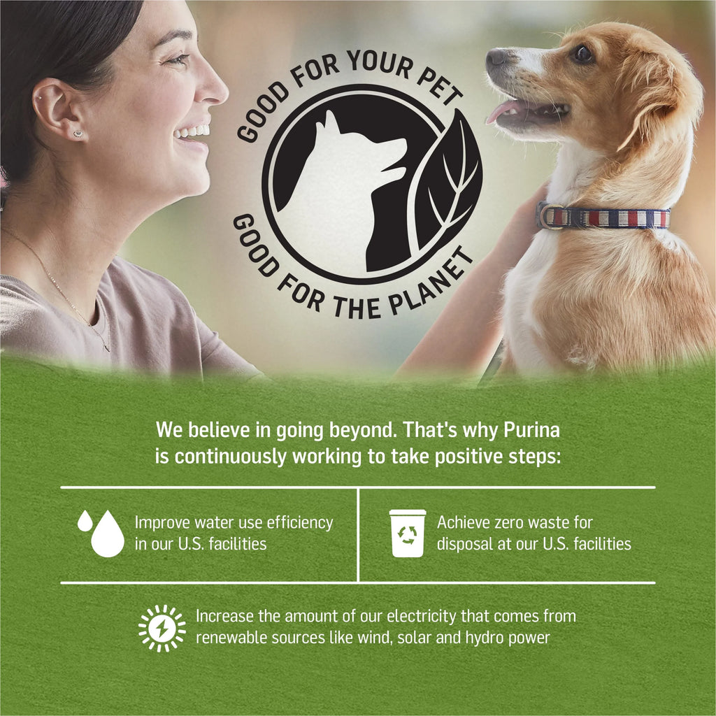 Immune Health Wet Dog Food Chicken Lamb Spinach, 13 oz Cans (12 Pack) I269230