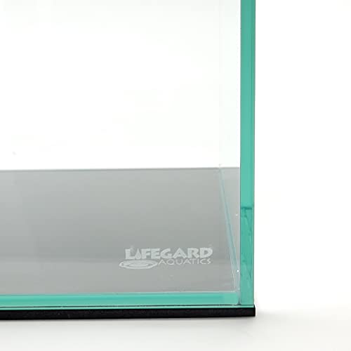 5 Gallon Rimless Clear Glass Aquarium O8374