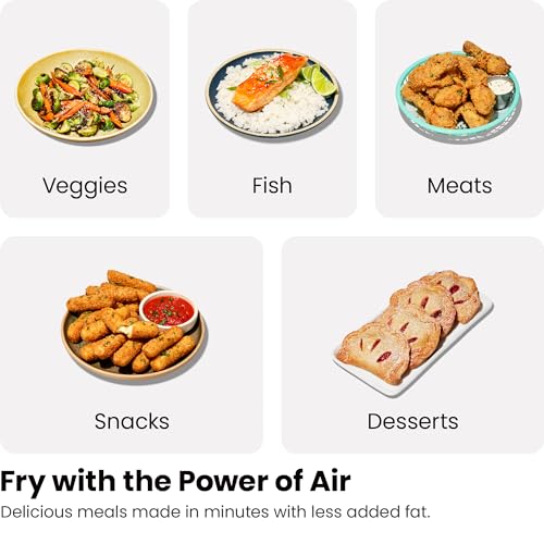 6 Quart Dual Basket Air Fryer with Digital Touchscreen P315