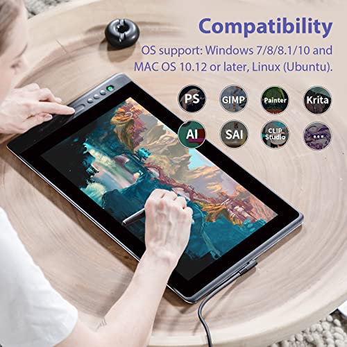 Graphics Drawing Tablet with Screen 13.3inch Pen Display with Stand D520