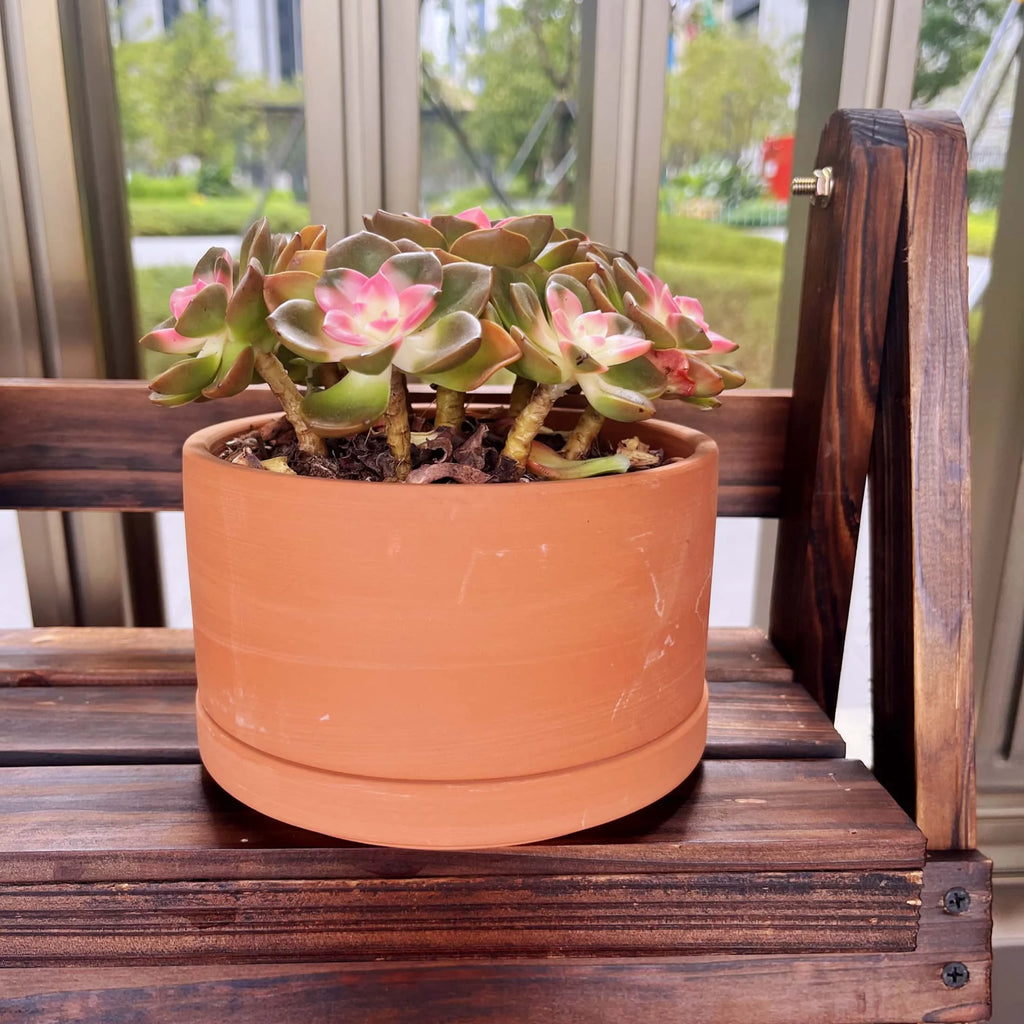 Terracotta Flower Pots with Drainage Holes, 3 Count F4799