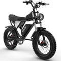Electric Bike for Adults Ridstar, 20" Fat Tire Electric Motorcycle,1000W Electric Bike with Removable 48V/20Ah Battery E-Bike Shimano 7 Full Suspension Electric Bicycle