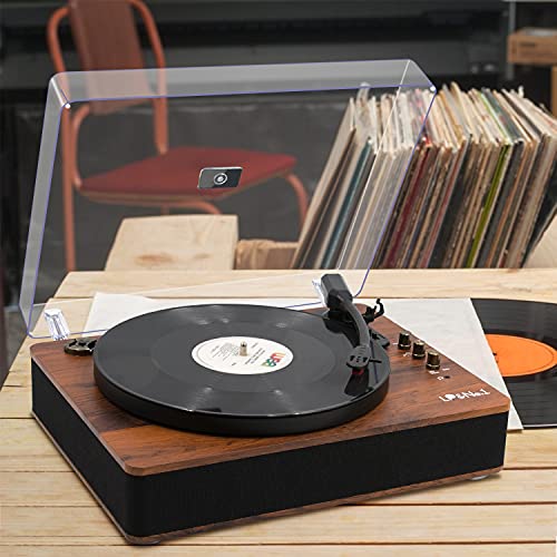 Record Player Turntable with Built-in Speakers and USB Playback R9973