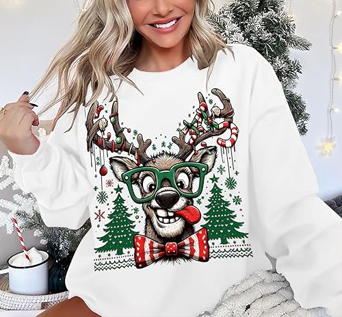 Funny Reindeer Christmas Sweatshirt Oversized Pullover K664011