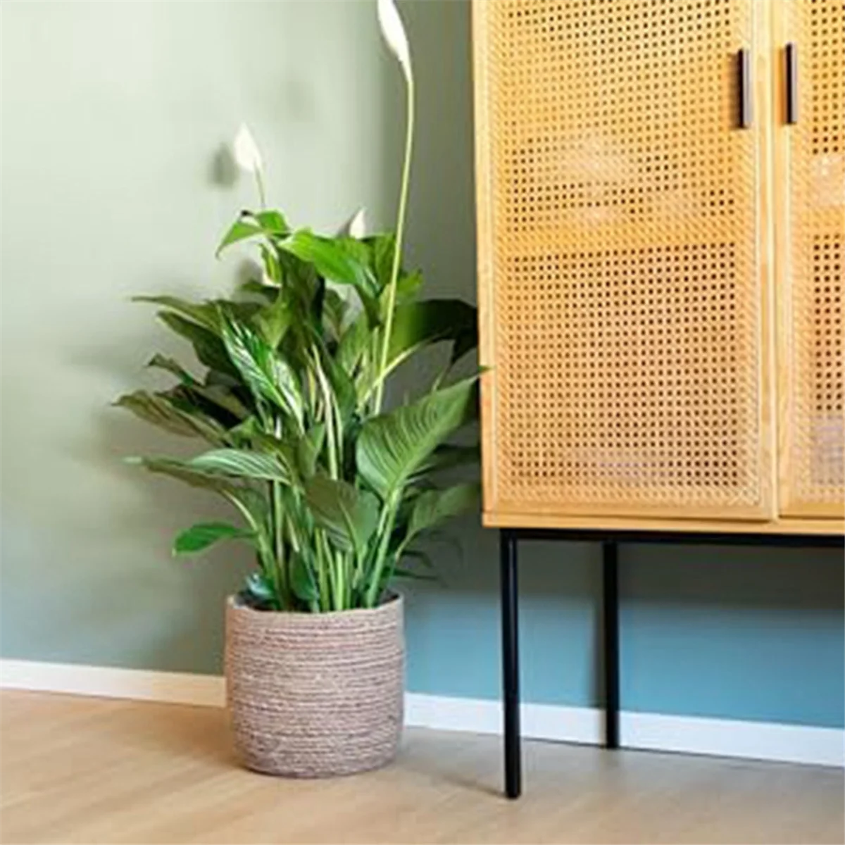 Woven Seagrass Plant Pot with Plastic Insert C98260