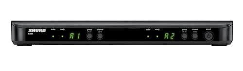 Wireless Microphone System with Dual Handheld Mics Y410