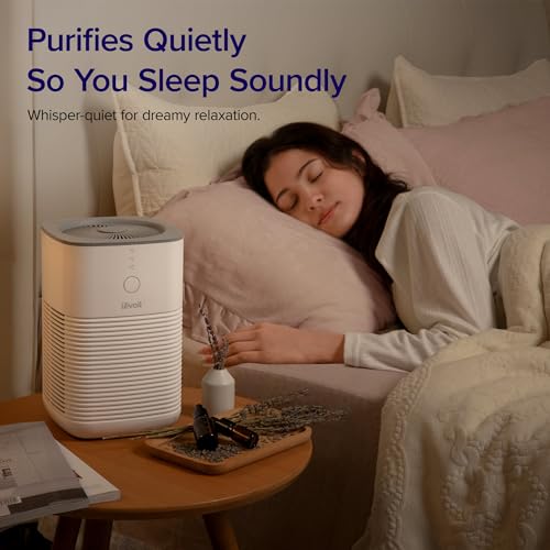 Air Purifier for Bedroom Home, 3-in-1 Filter Cleaner with Fragrance Sponge, Filters Smoke, Allergies, Pet Dander, Odor, Dust, Portable T545