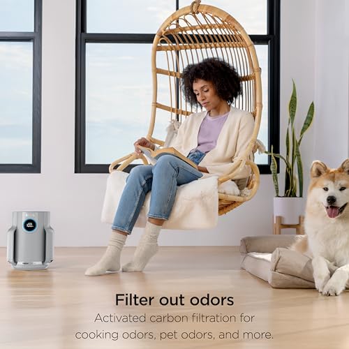 Air Purifier for Home Large Room, HEPA Filter, Covers 650 Sq. Ft, Removes Dust & Allergens P98966