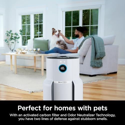 Air Purifier for Home Large Room, HEPA Filter, Covers 650 Sq. Ft, Removes Dust & Allergens P98966