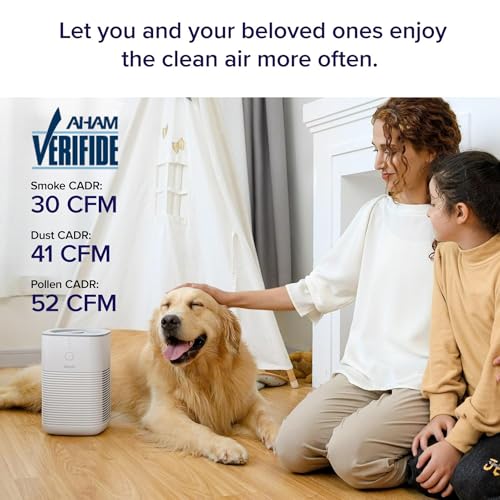 Air Purifier for Bedroom Home, 3-in-1 Filter Cleaner with Fragrance Sponge, Filters Smoke, Allergies, Pet Dander, Odor, Dust, Portable T545