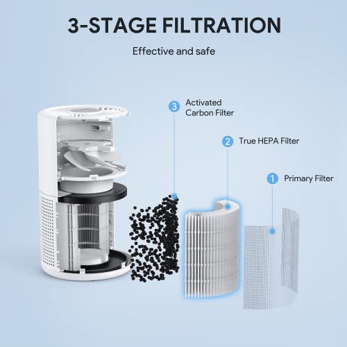 H13 True HEPA Air Purifier for Bedroom, Quiet with Night Light V933
