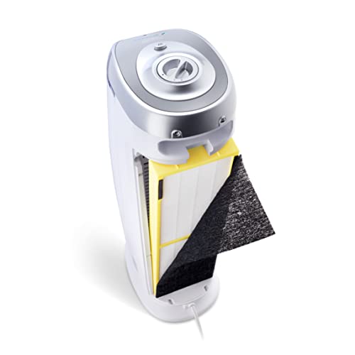 Air Purifier with HEPA Filter for Large Rooms, Removes Smoke, Pet Dander, Pollen, and Odors T1048