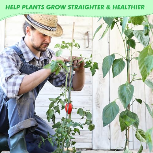 Plant Support Stakes for Flowers, 24 Inch M101005