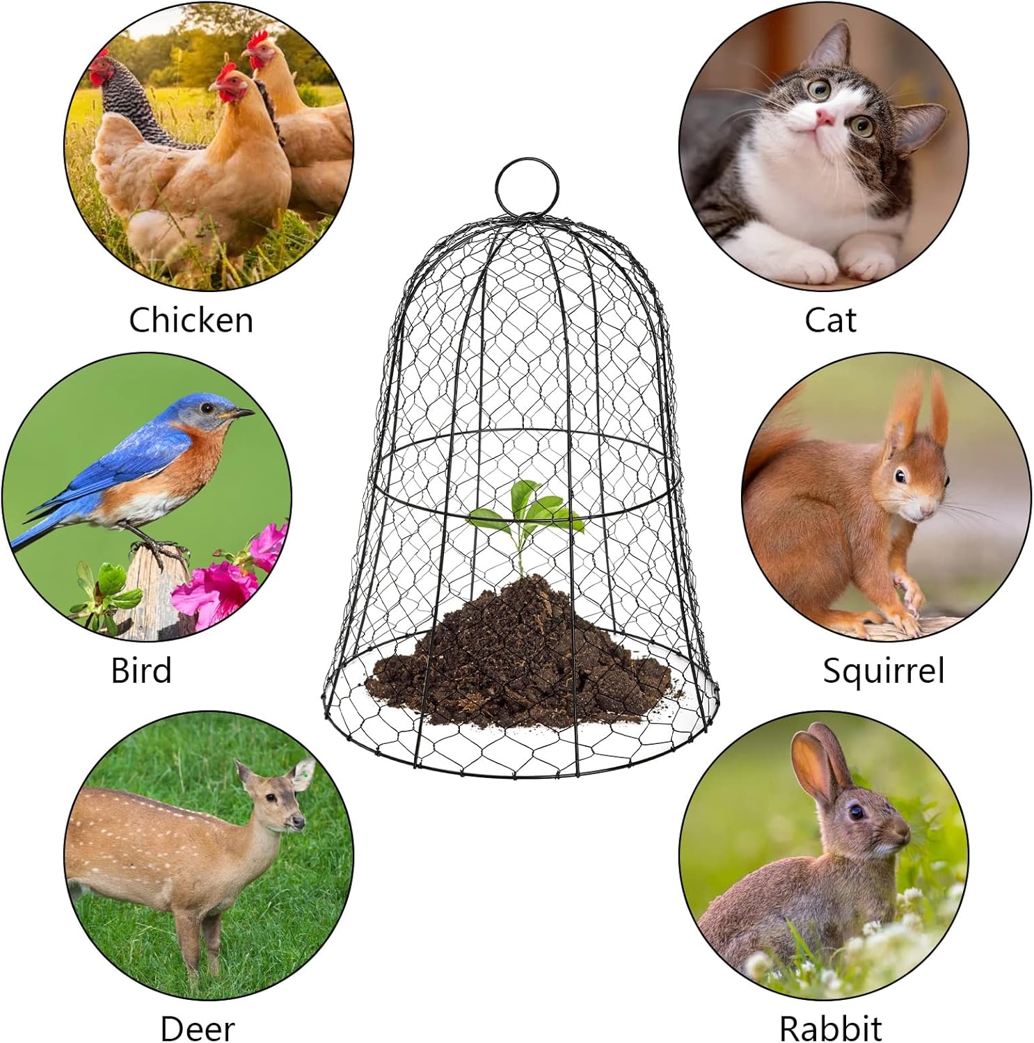 Garden Chicken Wire Cloche 16x13 Inches Black Dome Plant Protector G88980