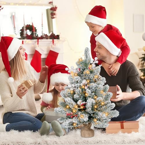 Flocked Artificial Mini Christmas Tree with Lights, Tabletop Decor W784363