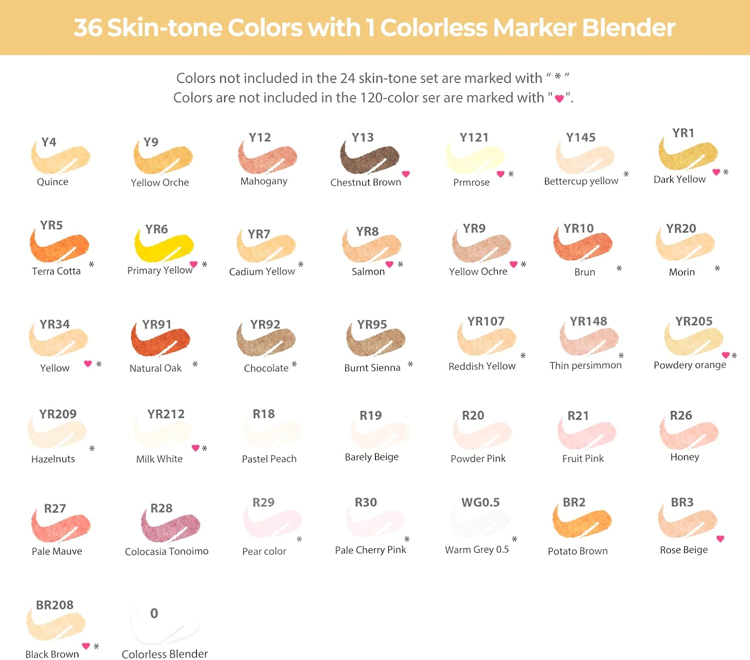 Alcohol Markers Skin Tone Set, 36 Portrait Colors, Brush & Chisel Dual Tips E860