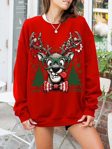 Funny Reindeer Christmas Sweatshirt Oversized Pullover K664011