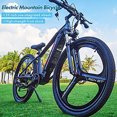 Electric Bike for Adults 29 Inch Fat Tire Mountain Bicycle 500W T253