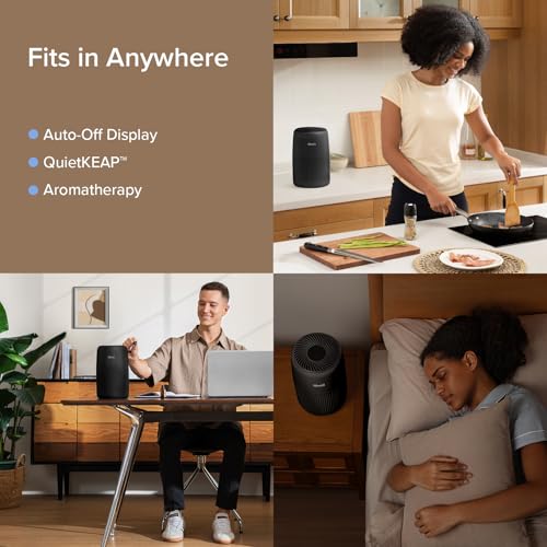 Air Purifier for Bedroom Home, 3-in-1 Filter Cleaner with Fragrance Sponge, Filters Smoke, Allergies, Pet Dander, Odor, Dust, Portable T545
