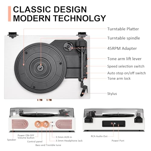 Vinyl Record Player with Built-in Speakers, 3-Speed Turntable M2824