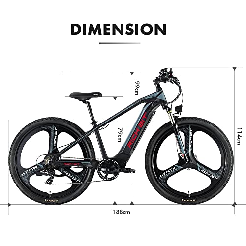 Electric Bike for Adults 29 Inch Fat Tire Mountain Bicycle 500W T253