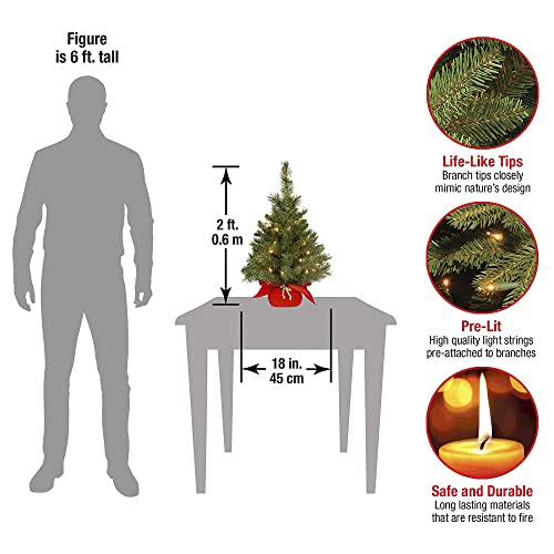 24 in Pre-Lit Mini Artificial Christmas Tree with 35 Clear Lights R420697