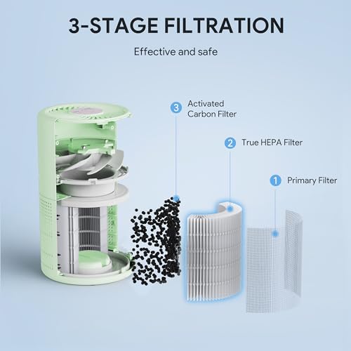 H13 True HEPA Air Purifier for Bedroom, Quiet with Night Light V933