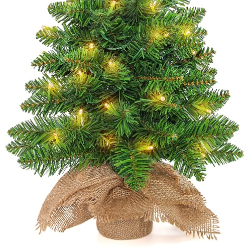 2ft Pre Lit Artificial Mini Christmas Tree with 50 LED Warm Lights F389906
