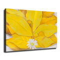 Yellow Pecan Leaves and Daisies By Georgia O'Keeffe Poster Printing Canvas Painting Wall Art Modern Home Bedroom Office Room Aesthetic Decoration (08x12inch Unframed)