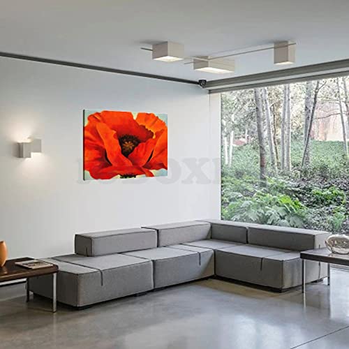 Red Flowers Aesthetic Poster Canvas Wall Art for Bedroom Living Room Decor I1225