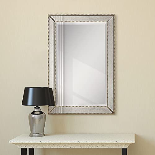 Antique Wall Mirror for Bathroom, Bedroom, Living Room, Ready to Hang, 24" x 54" D519