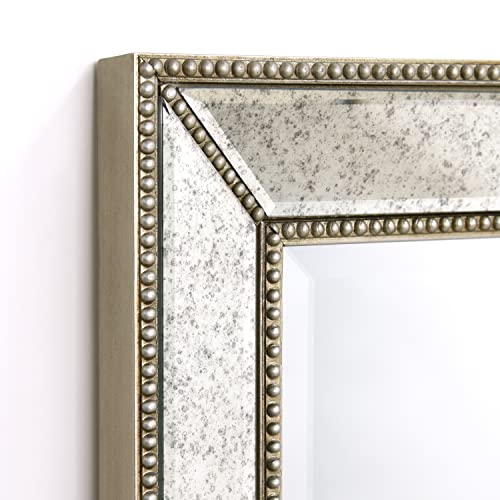 Antique Wall Mirror for Bathroom, Bedroom, Living Room, Ready to Hang, 24" x 54" D519