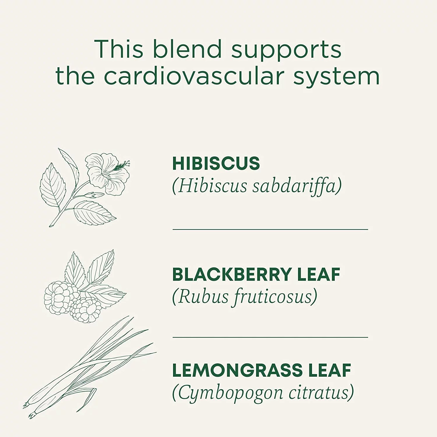 Organic Hibiscus Herbal Tea, 16 Tea Bags, Pack of 3 L90379