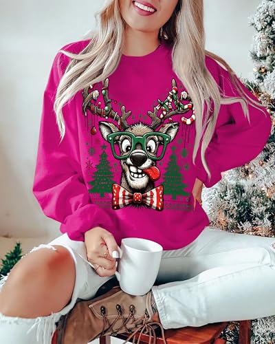 Funny Reindeer Christmas Sweatshirt Oversized Pullover K664011