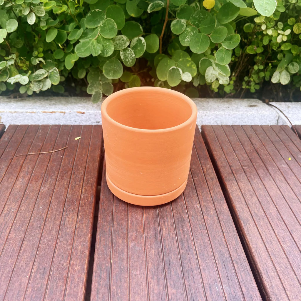 Terracotta Flower Pots with Drainage Holes, 3 Count F4799