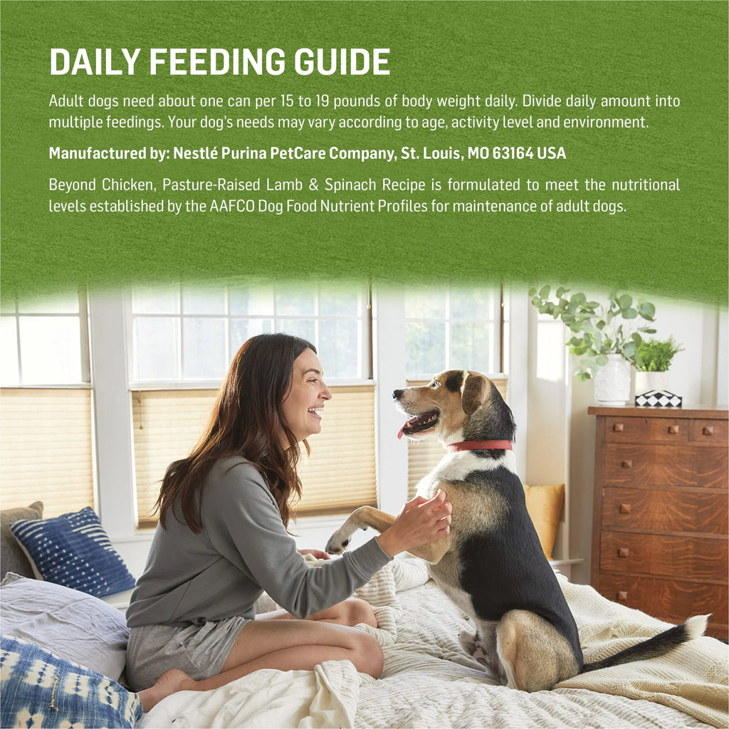 Immune Health Wet Dog Food Chicken Lamb Spinach, 13 oz Cans (12 Pack) I269230