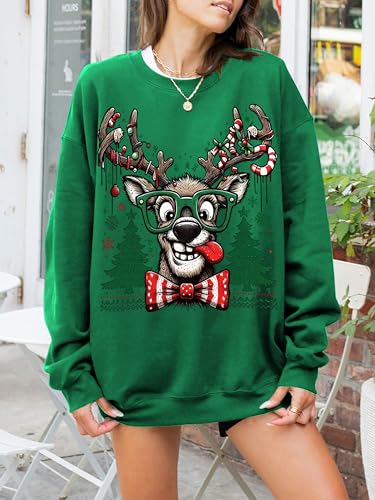 Funny Reindeer Christmas Sweatshirt Oversized Pullover K664011