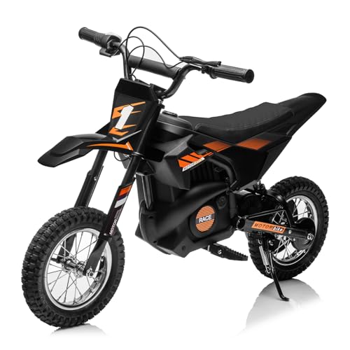 Kids Electric Dirt Bike 250W Off-Road Motorcycle A971937