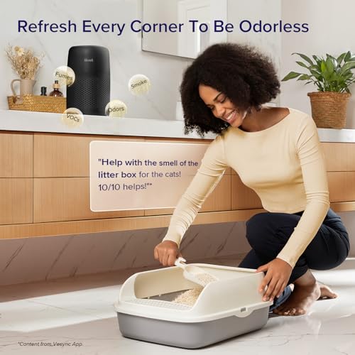 Air Purifier for Bedroom Home, 3-in-1 Filter Cleaner with Fragrance Sponge, Filters Smoke, Allergies, Pet Dander, Odor, Dust, Portable T545