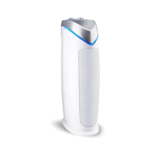 Air Purifier with HEPA Filter for Large Rooms, Removes Smoke, Pet Dander, Pollen, and Odors T1048