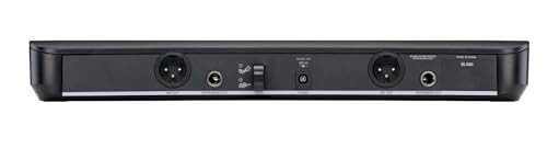Wireless Microphone System with Dual Handheld Mics Y410