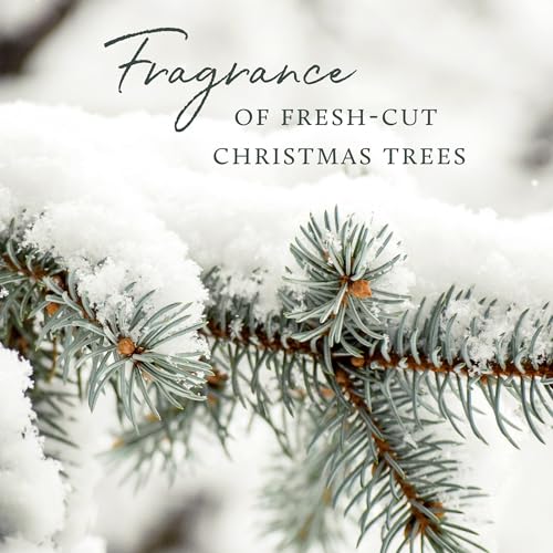 Scented Candles in Tin with Gold Lid - Crisp Fir, Cedarwood & Sandalwood B721287
